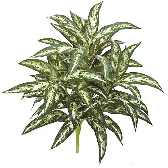 26" Aglaonema Silver Queen Silk Plant -Green/White (pack of 12) - P100970
