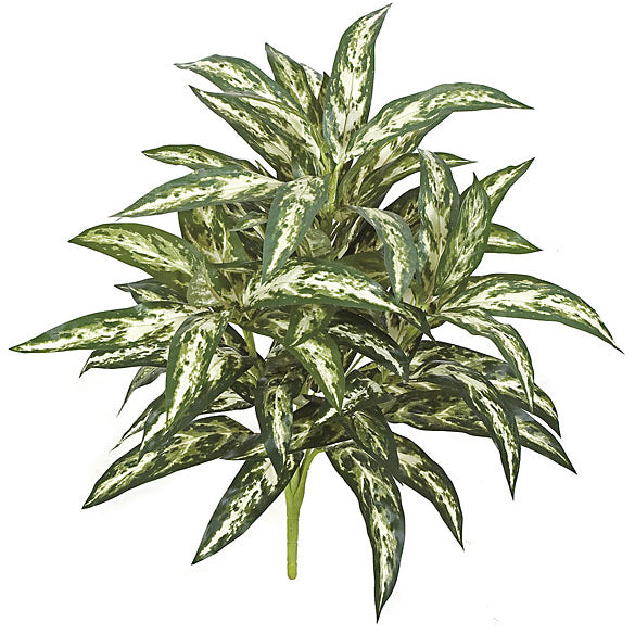 aglaonema silver queen plant 26" Aglaonema Silver Queen Silk Plant -Green/White (Pack of 12)