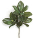 32" Magnolia Leaf Artificial Branch Stem -Green (pack of 6) - P110500