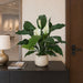 29" Flowering Peace Lily Spathiphyllum Silk Plant w/Pot -Green/White (Pack of 2) - P111370