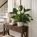 29" Flowering Peace Lily Spathiphyllum Silk Plant w/Pot -Green/White (Pack of 2) - P111370