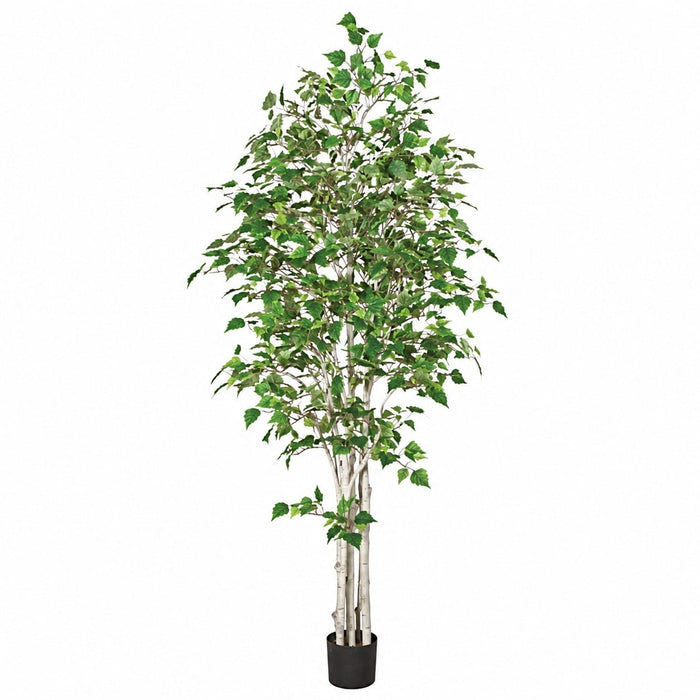 7' White Birch Silk Tree w/Pot -Green - P120290
