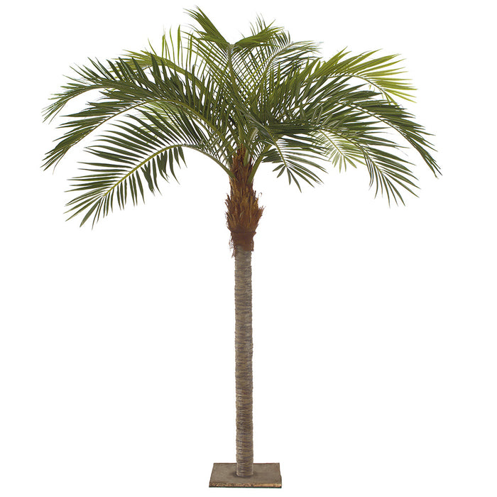 artificial coconut palm 11' Silk Coconut Palm Tree w/Metal Plate -Green