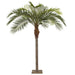 11' Silk Coconut Palm Tree w/Metal Plate -Green - P123200