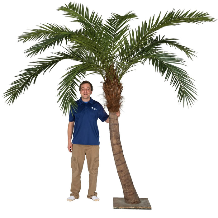 9'6" Curved Phoenix Silk Palm Tree w/Metal Base -Green - P127100