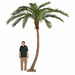 14' Curved Phoenix Silk Palm Tree w/Metal Base -Green - P127120