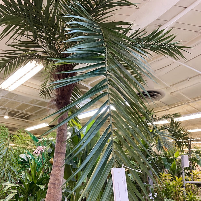14' Curved Phoenix Silk Palm Tree w/Metal Base -Green - P127120