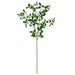 31" IFR Artificial Oak Branch Stem -Green (Pack of 12) - PR140020