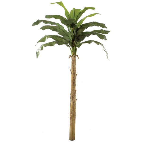 12' Banana Silk Palm Tree -Green - P141340