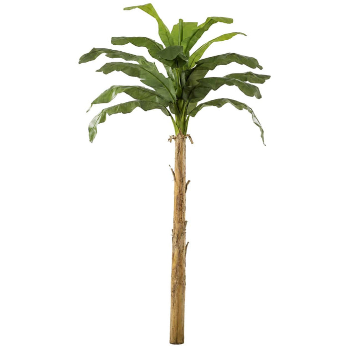 12' Banana Silk Plant -Green - P-141340