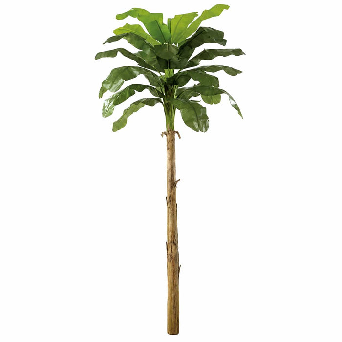 15' Banana Silk Plant -Green - P-141350