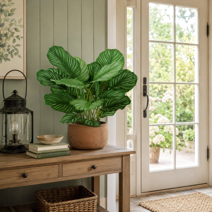 28" Calathea Queen Silk Plant w/Pot -2 Tone Green (Pack of 2) - P141410