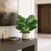 28" Calathea Queen Silk Plant w/Pot -2 Tone Green (Pack of 2) - P141410