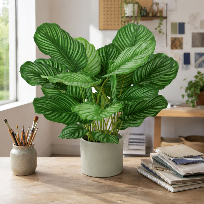 28" Calathea Queen Silk Plant w/Pot -2 Tone Green (Pack of 2) - P141410