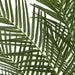 6' Areca Silk Palm Tree w/Pot -Green - P141620