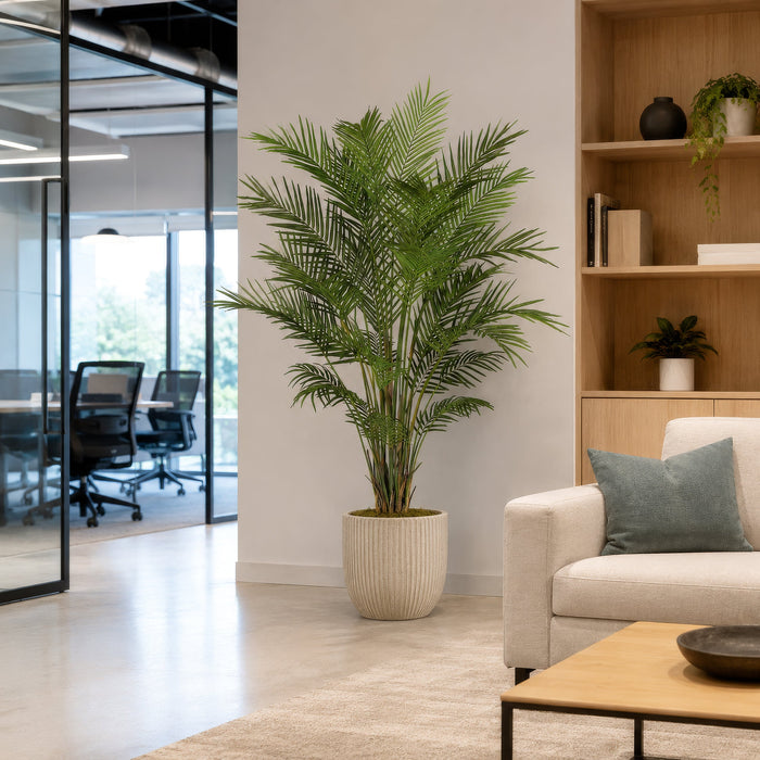 6' Areca Silk Palm Tree w/Pot -Green - P141620