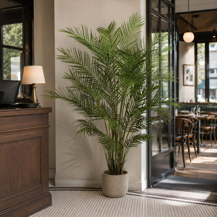 6' Areca Silk Palm Tree w/Pot -Green - P141620