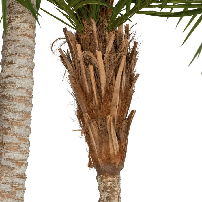 8'6" Phoenix Double Trunk Silk Palm Tree w/Pot -Green - P142220