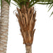 8'6" Phoenix Double Trunk Silk Palm Tree w/Pot -Green - P142220