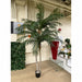 8'6" Phoenix Double Trunk Silk Palm Tree w/Pot -Green - P142220
