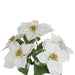 18" Velvet Poinsettia Artificial Flower Bush -White (pack of 6) - P150240