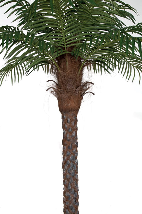 6' Phoenix Date Silk Palm Tree w/Pot -Green - P150560