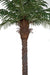 8' Phoenix Date Silk Palm Tree w/Pot -Green - P150570