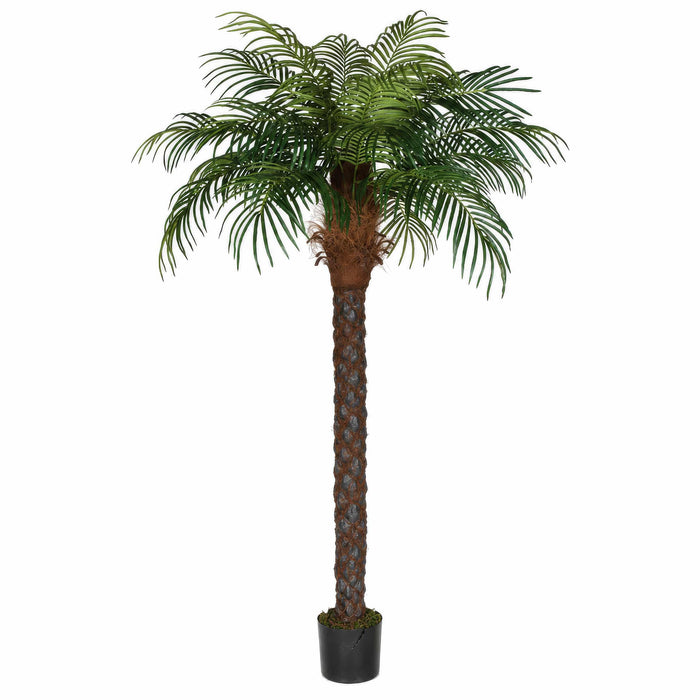 8' Phoenix Date Silk Palm Tree w/Pot -Green - P150570