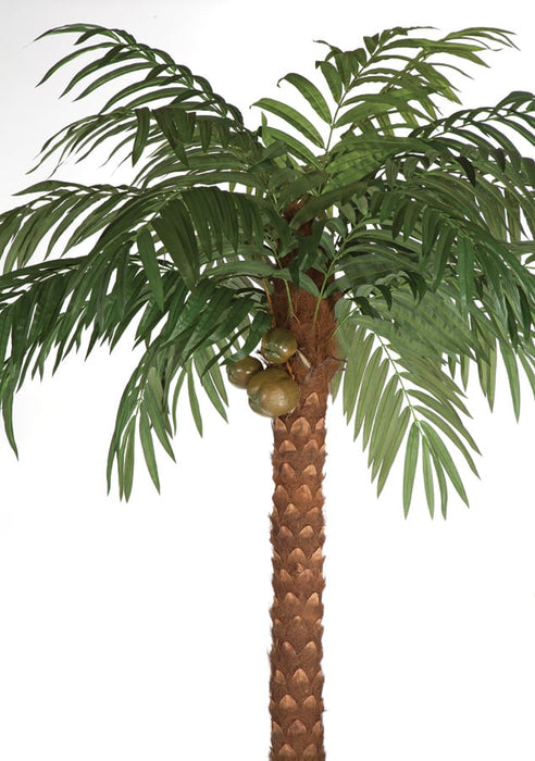 artificial coconut palm trees 15' Coconut Silk Palm Tree w/Pot -Green