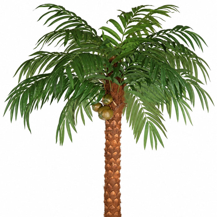 15' Coconut Silk Palm Tree w/Pot -Green - P150630