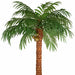 15' Coconut Silk Palm Tree w/Pot -Green - P150630