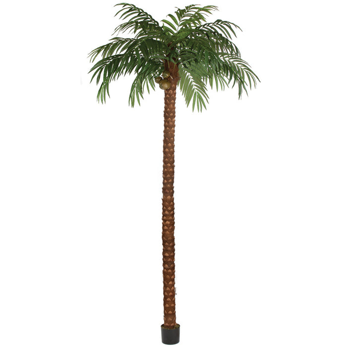 15' Coconut Silk Palm Tree w/Pot -Green - P150630