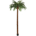 15' Coconut Silk Palm Tree w/Pot -Green - P150630