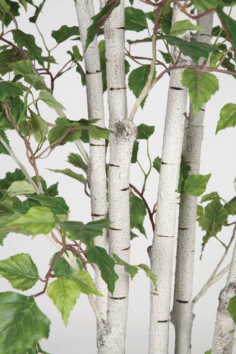 7' White Birch Silk Tree w/Pot -Green - P120290