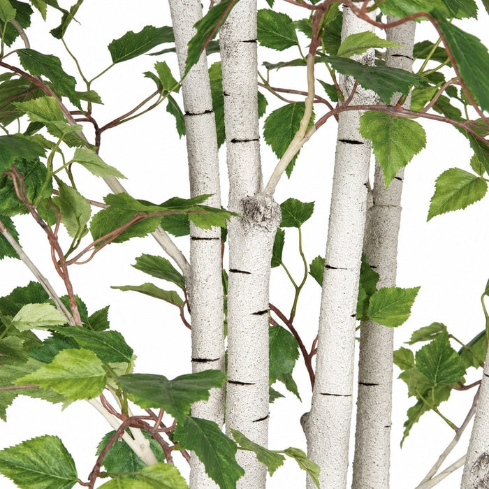 7' White Birch Silk Tree w/Pot -Green - P120290