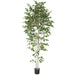 9' White Birch Silk Tree w/Pot -Green - P150740