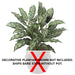 30" Aglaonema Silver Queen Silk Plant -2 Tone Green (pack of 6) - P1600