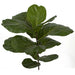 30" Artificial Fiddle Leaf Fig Stem -Green (Pack of 4) - P162120