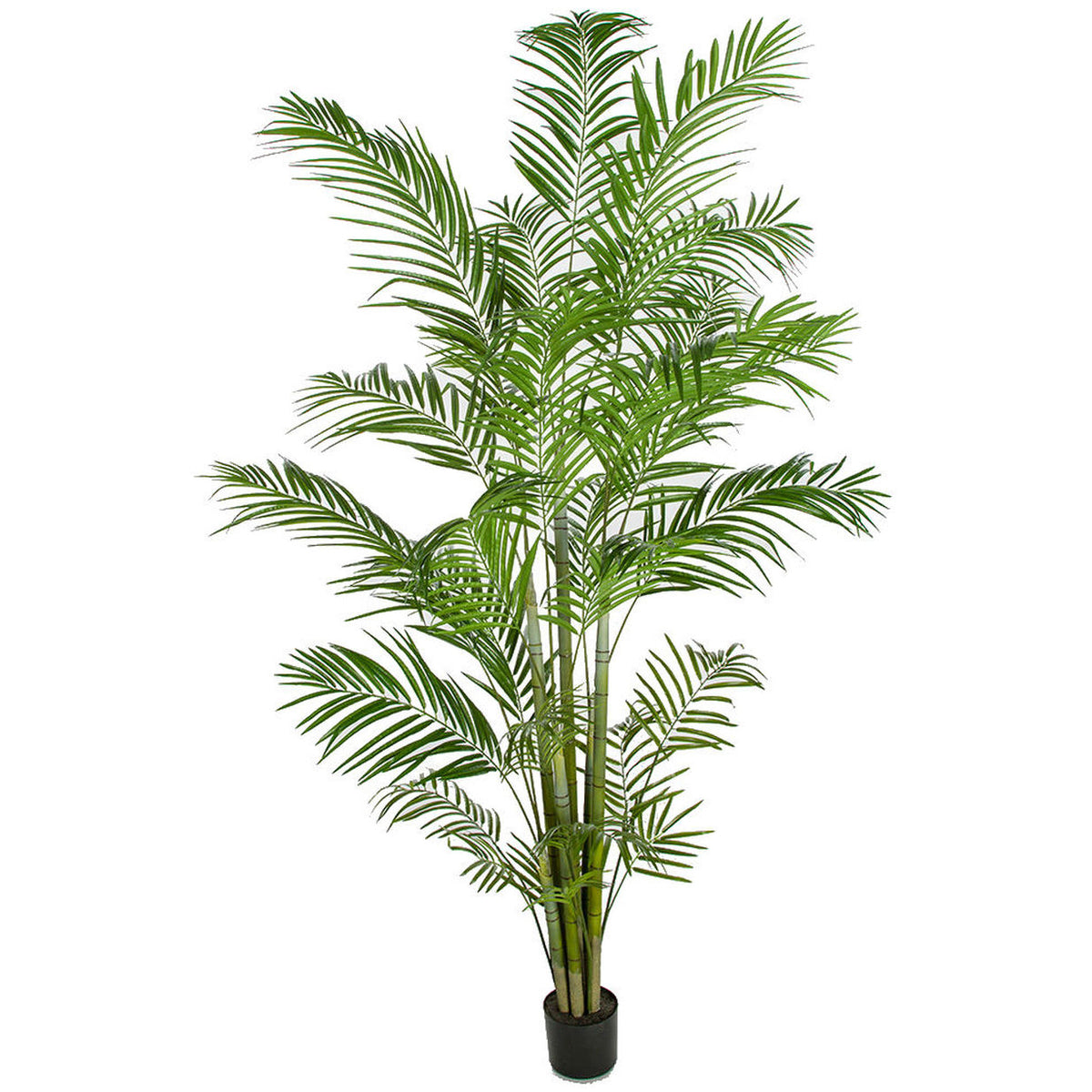 8' Large Silk Areca Palm Tree w/Pot Green Areca Palm Trees — Silks