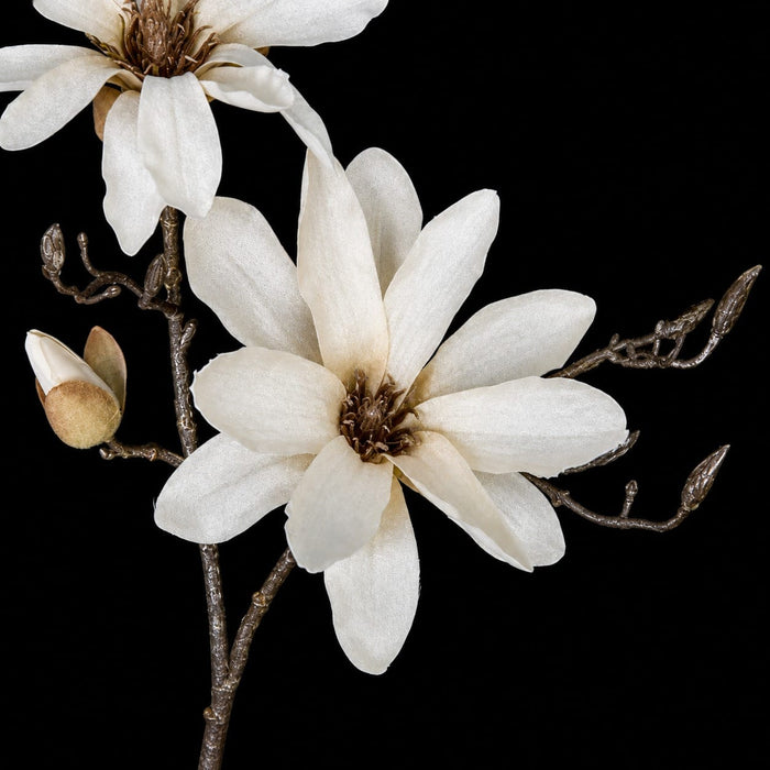 34" Giant Magnolia Silk Flower Stem -Cream/Brown (Pack of 6) - P181082