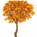10'6" Large Silk Sugar Maple Tree w/Pot -Orange/Red - P181360
