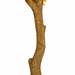 10'6" Large Silk Sugar Maple Tree w/Pot -2 Tone Green - P181365