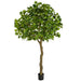 10'6" Large Silk Sugar Maple Tree w/Pot -2 Tone Green - P181365