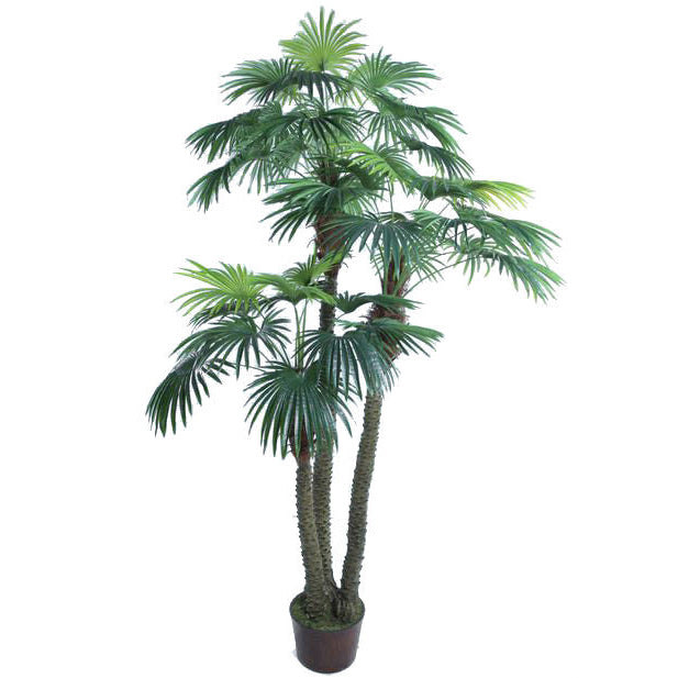 9'6" Silk Fan Double Trunk Palm Tree w/Pot -Green | More Palm Trees