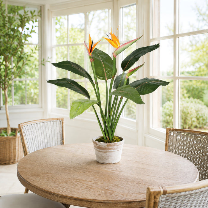36" Flowering Bird Of Paradise Silk Plant w/Pot -Orange/Green - P2460