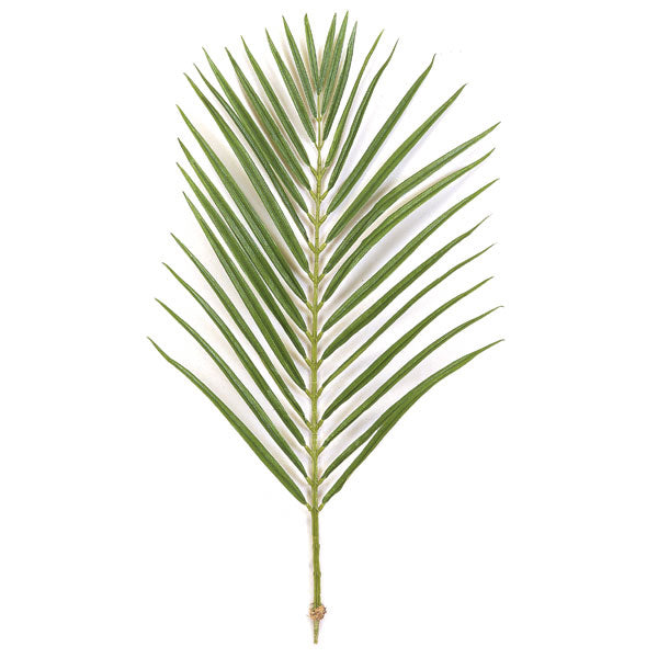 areca palm stem 35" Silk Areca Palm Stem -2 Tone Green (Pack of 12)