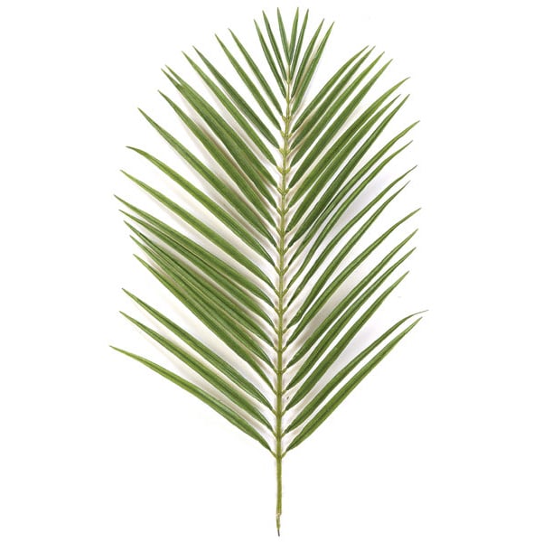 35" Silk Areca Palm Branch Stem -2 Tone Green (pack of 12) - P2681