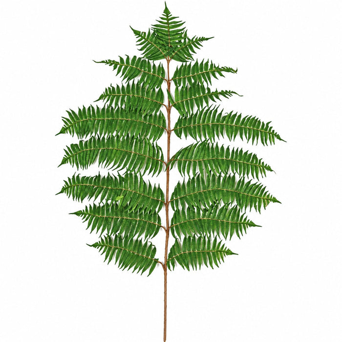 36" Artificial Hawaiian Fern Branch Stem -Green (Pack of 12) - P310