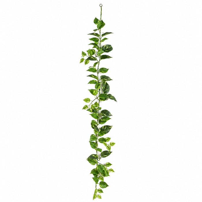 6' Pothos Silk Garland -Green/Yellow (Pack of 12) - P3540