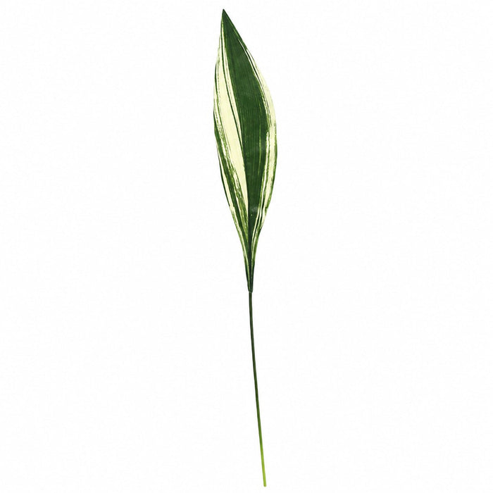 32" Soft-Touch Silk Dracaena Leaf Stem -Green/White (Pack of 24) - P60650